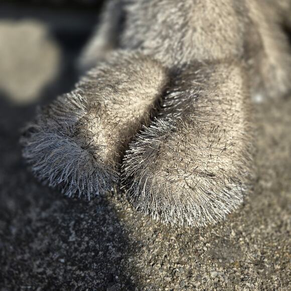 Second Nature Design Simply Irresistible Gray Sad Teddy Bear Plush 2004 - Picture 3 of 9